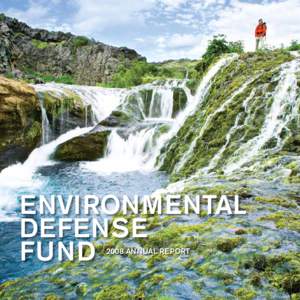 ENVIRONMENTAL DEFENSE FUND 2008 ANNUAL REPORT  Soaring above its nest on New York’s