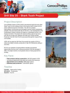 Drill Site 2S – Shark Tooth Project Project Description ConocoPhillips Alaska (COPA) drilled a development appraisal well called Shark Tooth on the southwest flank of the Kuparuk field in winter 2012 to obtain addition