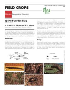 Field Crops Fact Sheet No. 102GFS795[removed]FIELD CROPS  Integrated