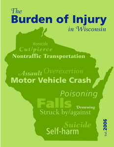 This inside cover page is blank on the actual printed report, but is helpful when printing this pdf document double-sided to ensure the facing pages are in correct order. Burden of Injury in Wisconsin Released Fall, 20