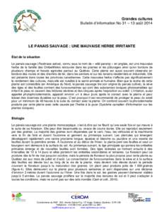 Grandes cultures Bulletin d’information No 31 – 13 août 2014 LE PANAIS SAUVAGE : UNE MAUVAISE HERBE IRRITANTE État de la situation Le panais sauvage (Pastinaca sativa), connu sous le nom de « wild parsnip » en an