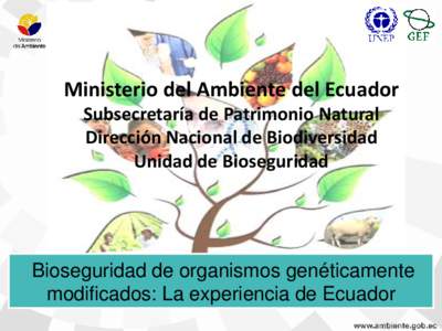 Ministerio del Ambiente del Ecuador Subsecretaría de Patrimonio Natural Dirección Nacional de Biodiversidad Unidad de Bioseguridad  Bioseguridad de organismos genéticamente