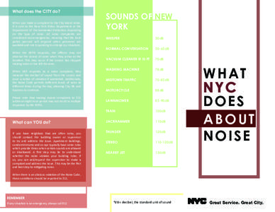 What does the CITY do? When you make a complaint to the City about noise, it is sent to the New York Police Department or the Department of Environmental Protection depending on the type of noise. All noise complaints ar