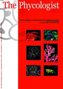 Biology / Aquatic ecology / Planktology / Marine botany / Phycology / Microphyte / Algal bloom / Algaculture / William Henry Harvey / Water / Biological oceanography / Algae