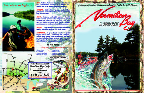 Smallmouth bass / Lake Vermilion / Indian Lake Chain /  Ontario / Fish / Vermilion Bay / Eagle Lake