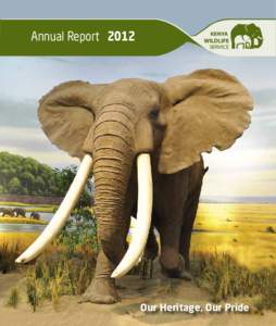 Annual Report[removed]Our Heritage, Our Pride Cover Photo Courtsey of Shutterstock.com