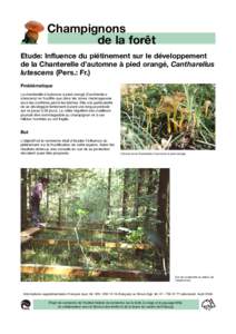 Champignons de la forêt Etude: Influence du piétinement sur le développement de la Chanterelle d’automne à pied orangé, Cantharellus lutescens (Pers.: Fr.) Problématique