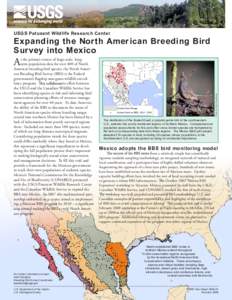 USGS Patuxent Wildlife Research Center  Expanding the North American Breeding Bird Survey into Mexico  For further information contact: