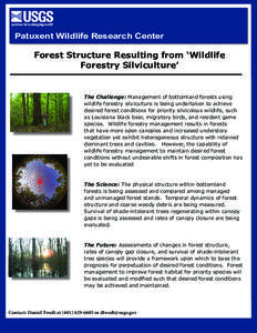 Patuxent Wildlife Research Center  Forest Structure Resulting from ‘Wildlife Forestry Silviculture’  The Challenge: Management of bottomland forests using