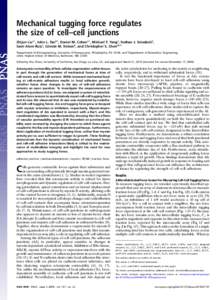 Cytoskeleton / Genes / Cell cycle / Adherens junction / Catenin / Actin / VE-cadherin / Beta-catenin / Rho-associated protein kinase / Biology / Cell biology / Proteins