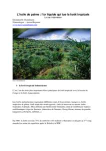 L’huile de palme : l’or liquide qui tue la forêt tropicale. Le cas indonésien.