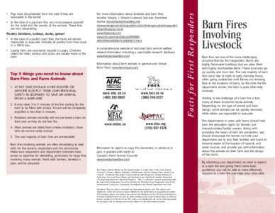 Pigs must be protected from the cold if they are evacuated in the winter. •  In the case of a pig barn fire, you must prepare yourself