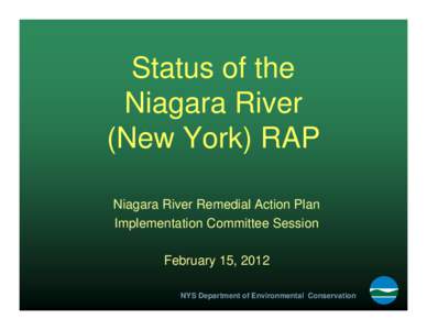 Status of the Niagara River (New York) RAP Niagara River Remedial Action Plan Implementation Committee Session February 15, 2012