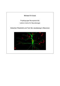 Michael R. Kreutz  Projektgruppe Neuroplastizität, Leibniz-Institut für Neurobiologie  Zwischen Plastizität und Tod: Der Jacobsweg in Neuronen