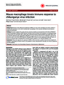 Effect of ultrasound on herpes simplex virus infection in cell culture