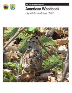 U.S. Fish & Wildlife Service  American Woodcock Population Status, 2013  Suggested report citation: