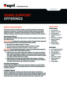 DATASHEET  SQRRLSUPPORT OFFERINGS Sqrrl’s Commitment