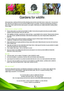 Gardens for wildlife Most people enjoy watching wild birds and other interesting native animals around their house or nature parks. If you are one of them, there are many things you can do to have the wildlife you like i