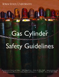 Environmental Health and Safety Statement Iowa State University strives to be a model for environmental, health and safety excellence in teaching, research, extension, and the management of its facilities. In pursuit of