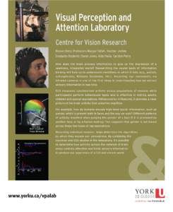 Visual Perception and Attention Laboratory Centre for Vision Research Researchers: Professors Mazyar Fallah, Heather Jordan Graduate Students: Sarah Jones, Aida Owlia, Carolyn Perry How does the brain process information