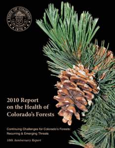 Protostome / Biology / Mountain pine beetle / Bark beetle / United States Forest Service / Thousand cankers disease / Forest / Colorado Division of Forestry / Curculionidae / Woodboring beetles / Phyla