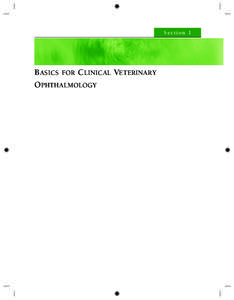 Section 1  BASICS FOR CLINICAL VETERINARY OPHTHALMOLOGY  Chapter 1
