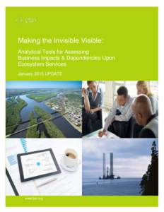 Making the Invisible Visible: Analytical Tools for Assessing Business Impacts & Dependencies Upon Ecosystem Services January 2015 UPDATE