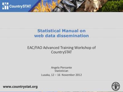 Statistical Manual on  web data dissemination