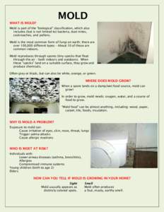 MOLD  WHAT IS MOLD? Mold is part of the “biological” classification, which also includes (but is not limited to) bacteria, dust mites,