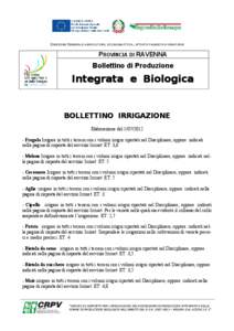 DIREZIONE GENERALE AGRICOLTURA, ECONOMIA ITTICA, ATTIVITÀ FAUNISTICO-VENATORIE  PROVINCIA DI RAVENNA Bollettino di Produzione