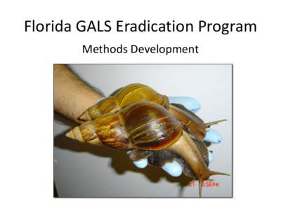 Florida GALS Eradication Program Methods Development Objectives • Chemical Control Techniques – Molluscicide bait efficacy testing