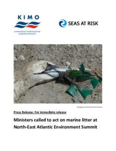 Photograph of Gannet by Henk Strietman  Press Release: For immediate release Ministers called to act on marine litter at North-East Atlantic Environment Summit