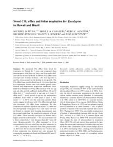 Wood CO2 efflux and foliar respiration for Eucalyptus in Hawaii and Brazil