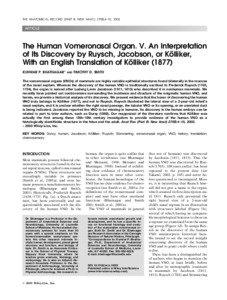 Human anatomy / Vomeronasal organ / Frederik Ruysch / Nasal cavity / Vomer / Septum / Human nose / Olfaction / Nasal septum / Anatomy / Nose / Biology