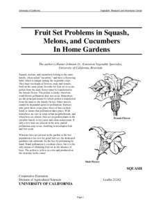 University of California  Vegetable Research and Information Center Fruit Set Problems in Squash, Melons, and Cucumbers