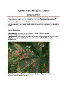 NOBANIS - Invasive Alien Species Fact Sheet – Cameraria ohridella