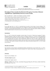 Renaming of three recently described eels of the genus Neenchelys (Teleostei: Anguilliformes: Ophichthidae) from the western Pacific