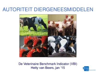 AUTORITEIT DIERGENEESMIDDELEN  De Veterinaire Benchmark Indicator (VBI) Hetty van Beers, jan ‘15  AANLEIDING