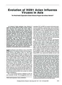 Evolution of H5N1 Avian Influenza Viruses in Asia The World Health Organization Global Influenza Program Surveillance Network*1 An outbreak of highly pathogenic avian influenza A (H5N1) has recently spread to poultry in 