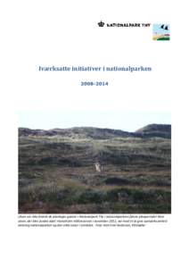 Iværksatte initiativer i nationalparkenUlven var ikke blandt de planlagte gæster i Nationalpark Thy i nationalparkens første planperiode! Men ulven, der blev fundet død i Hanstholm Vildtreservat i november