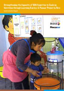 Strengthening the Capacity of SUN Countries to Scale up Nutrition through Learning Routes: A Pioneer Project in Peru Systematization Report Systematization Report