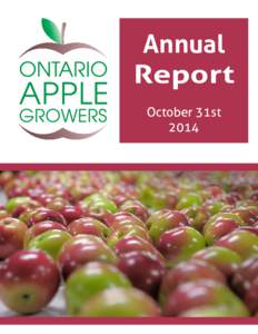 Annual Report October 31st 2014  Vision