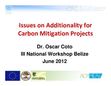 Issues on Additionality for  Carbon Mitigation Projects Dr. Oscar Coto III National Workshop Belize June[removed]