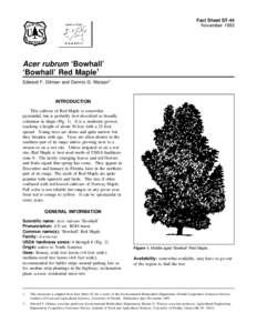 Fact Sheet ST-44 November 1993 Acer rubrum ‘Bowhall’ ‘Bowhall’ Red Maple1 Edward F. Gilman and Dennis G. Watson2