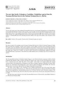 Two new tiger beetle (Coleoptera, Carabidae, Cicindelitae) species from the Tucuman-Bolivian forest in the National Tariquia Reserve, Bolivia