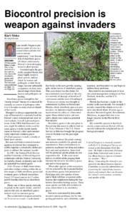 Biocontrol precision is weapon against invaders A strawberry guava tree in Curtiba, Brazil is heavily