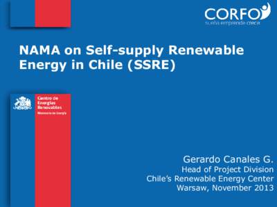 NAMA on Self-supply Renewable Energy in Chile (SSRE) Gerardo Canales G.  Head of Project Division