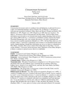 Volcanism / Geology / Shield volcanoes / Cinnamomum burmannii / Cinnamomum / Cinnamomum aromaticum / Cinnamon / Lauraceae / Maui / Spices / Magnoliids / Medicinal plants