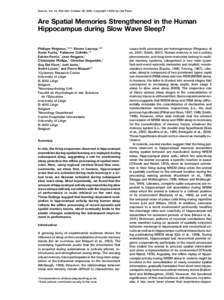 Neuron, Vol. 44, 535–545, October 28, 2004, Copyright ©2004 by Cell Press  Are Spatial Memories Strengthened in the Human Hippocampus during Slow Wave Sleep? Philippe Peigneux,1,2,4,* Steven Laureys,1,3,4 Sonia Fuchs,