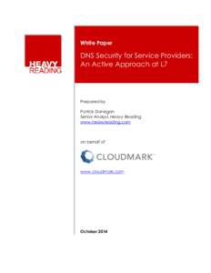 White Paper  DNS Security for Service Providers: An Active Approach at L7  Prepared by